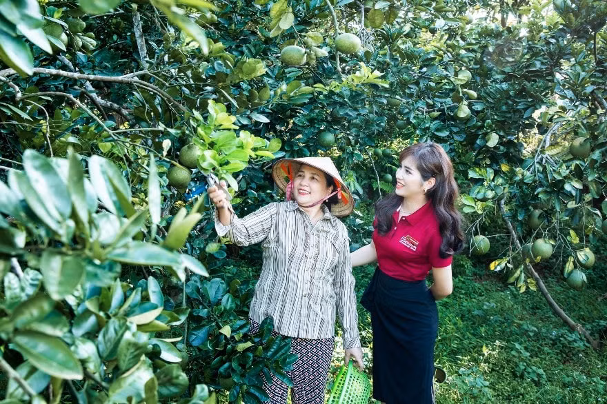 agribank 35 nam kien dinh vi su menh tam nong hinh 4