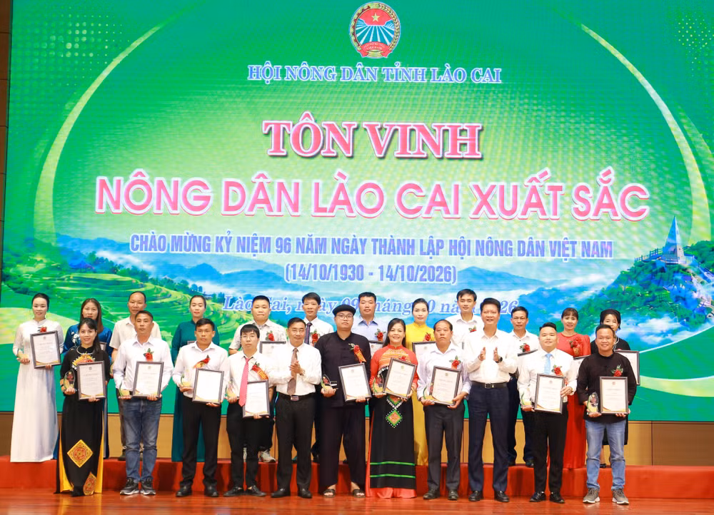 tonvinh-anhbia.jpg