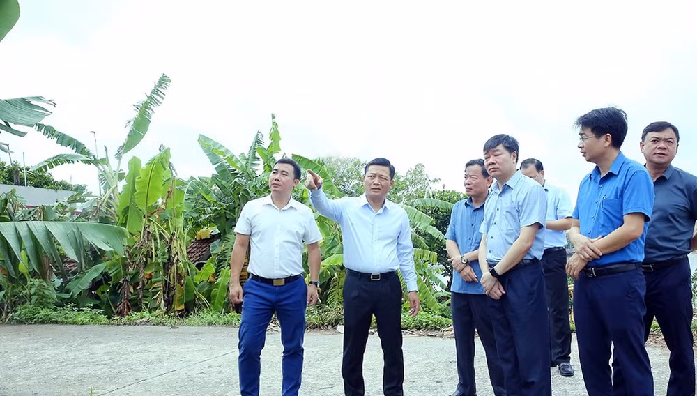 ninh-cuong.jpg