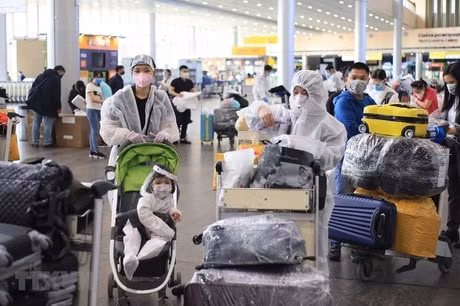 Các công dân Việt Nam chờ làm thủ tục tại sân bay Sheremetyevo. (Ảnh: TTXVN).