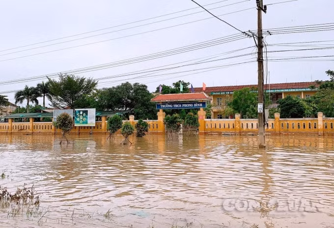 Trường THCS Phong Bình là một trong những ngôi trường nằm tại vùng rốn lũ của huyện Phong Điền.