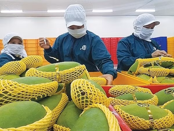 Việt Nam đặt mục tiêu xuất khẩu nông sản đạt 41 tỷ USD năm 2020. Ảnh minh họa