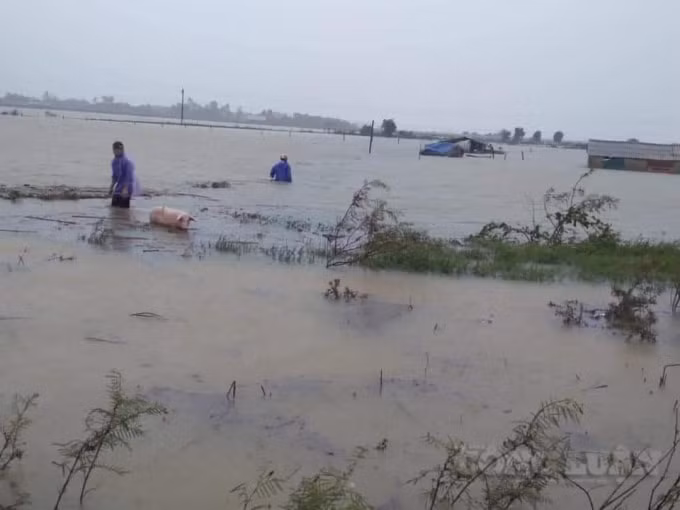 Người dân và vật nuôi bị nhấn chìm trong lũ dữ.