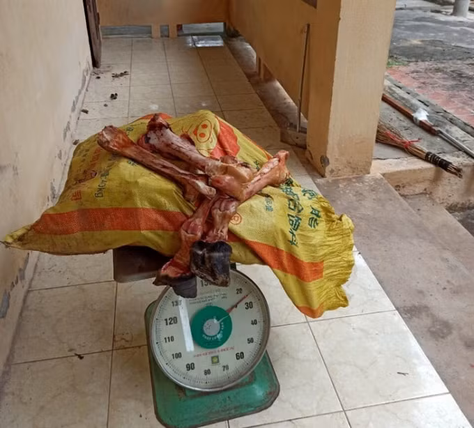 Số xương ngựa nhập lậu bị lực lượng chức năng thu giữ.