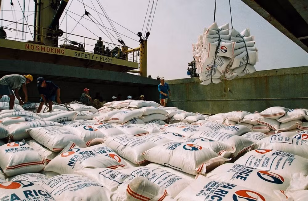 Gạo xuất khẩu của Việt Nam sang Trung Quốc đã suy giảm mạnh trong thời gian qua.