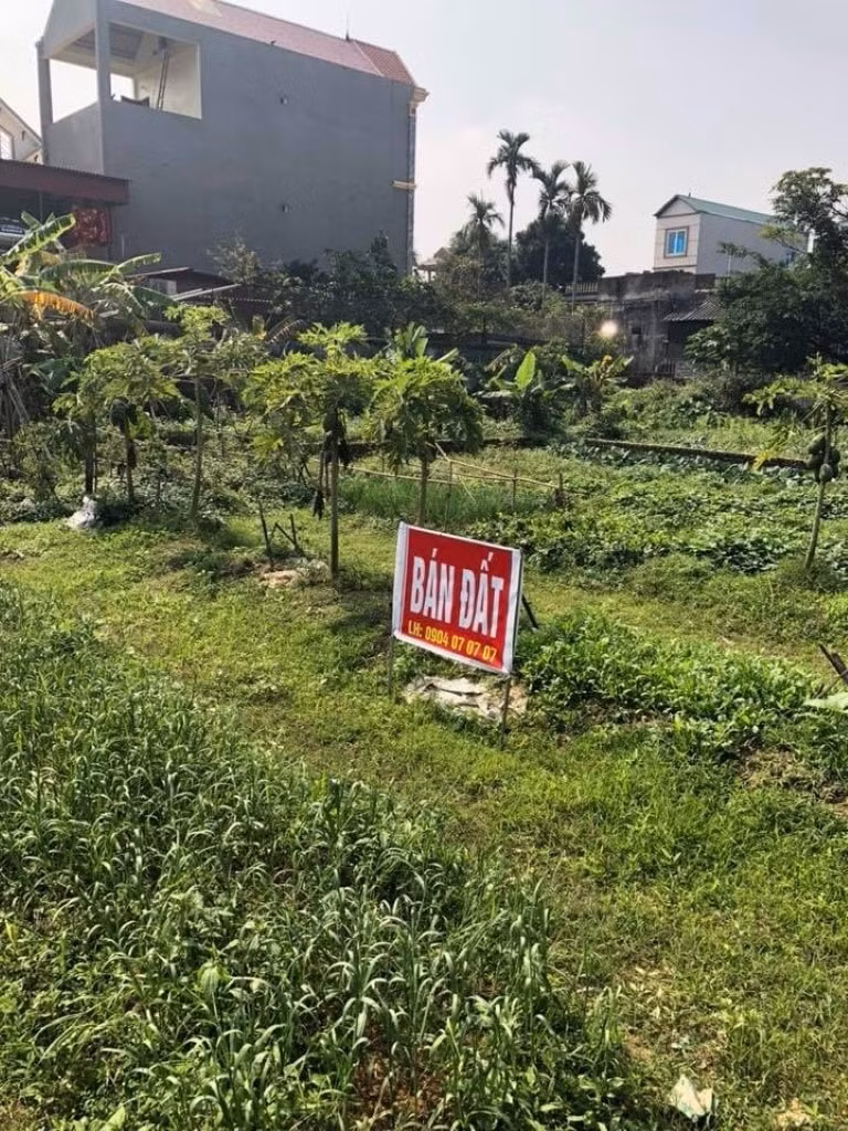 Cơn sốt đất đã vào tận hang cùng ngõ hẻm của 4 huyện trong đó có Đông Anh.