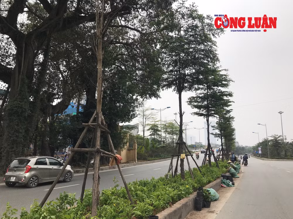 Những cây chống bằng gỗ sau một thời gian sử dụng đã hư hỏng