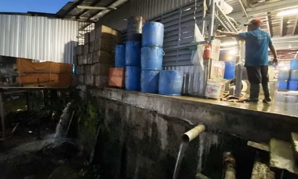 Chợ đầu mối thủy hải sản của Công ty TNHH Châu Việt Long xả nước thải không qua xử lý ra sông Hậu trong một khoảng thời gian dài. Ảnh: SGGP