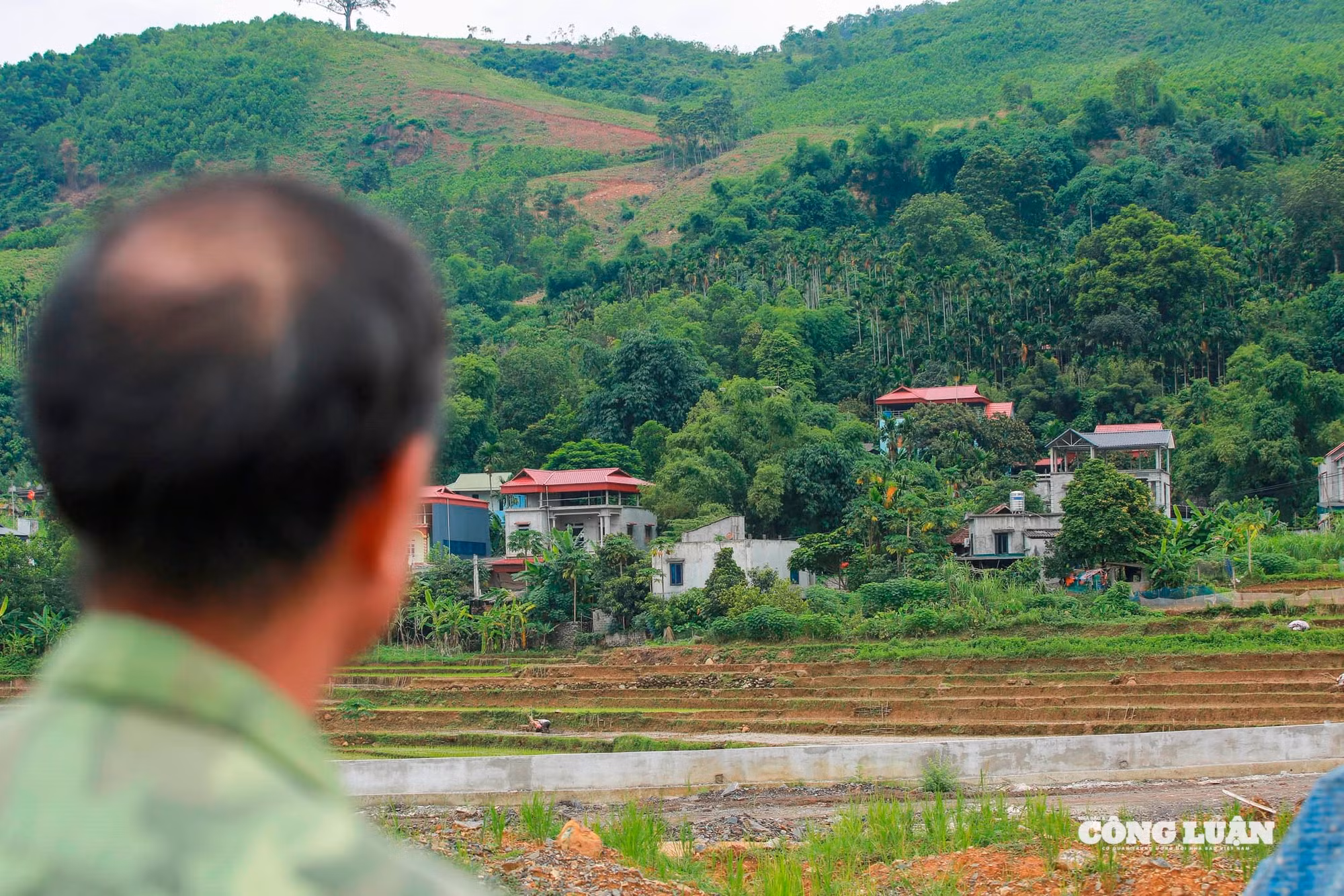 tái định cư_1