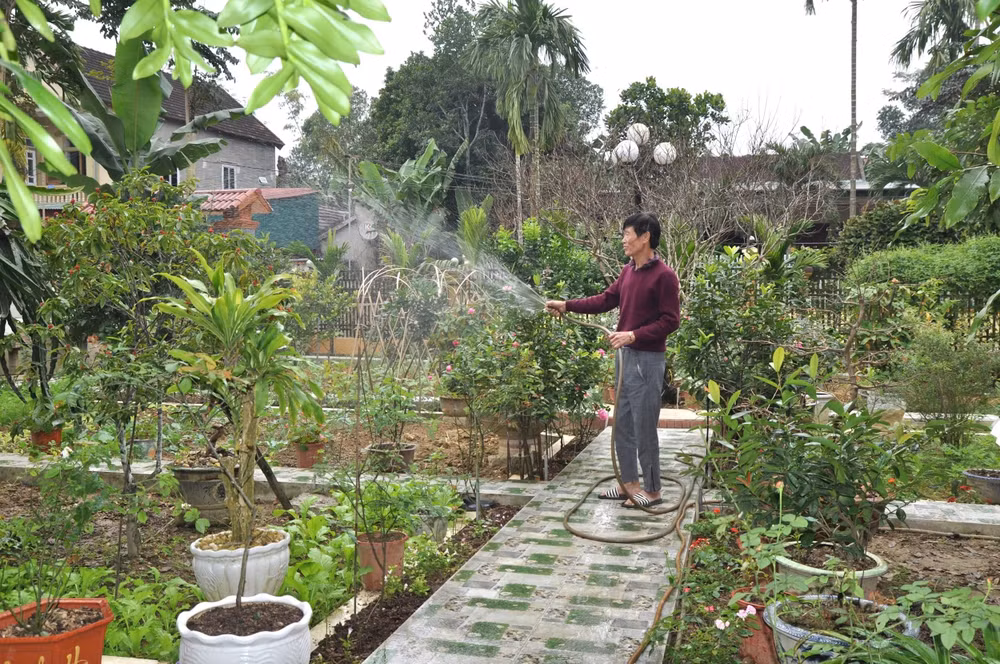 Cựu chiến binh Phạm Công Tác chăm sóc vườn cây xanh mát tại gia đình – nơi vừa là không gian sinh hoạt, vừa là mô hình vườn mẫu tiêu biểu trong phong trào xây dựng nông thôn mới
