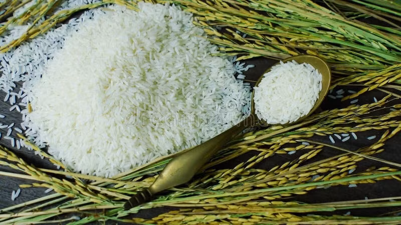 Giá lúa gạo hôm nay 17/7: Lúa giữ giá ổn định, gạo nguyên liệu tăng giá nhẹ