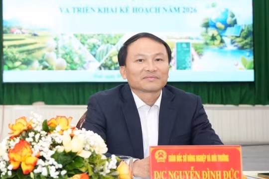 Đề nghị kỷ luật Giám đốc sở Nông nghiệp và Môi trường TP Huế