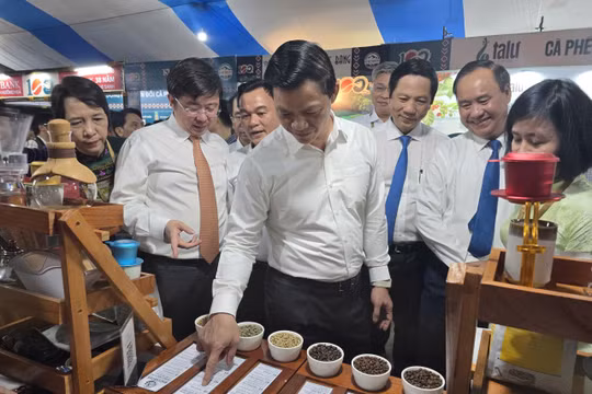 Cà phê Khe Sanh - Hương vị hòa bình