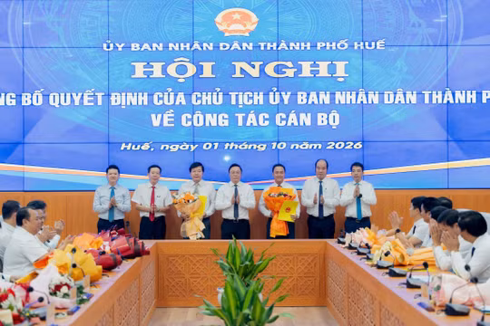 Huế: Bổ nhiệm lãnh đạo các Ban quản lý dự án và trung tâm
