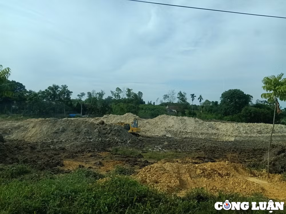 thanh hoa hang nghin met vuong dat bi dao muc nham nho co dau hieu trai phep hinh 1