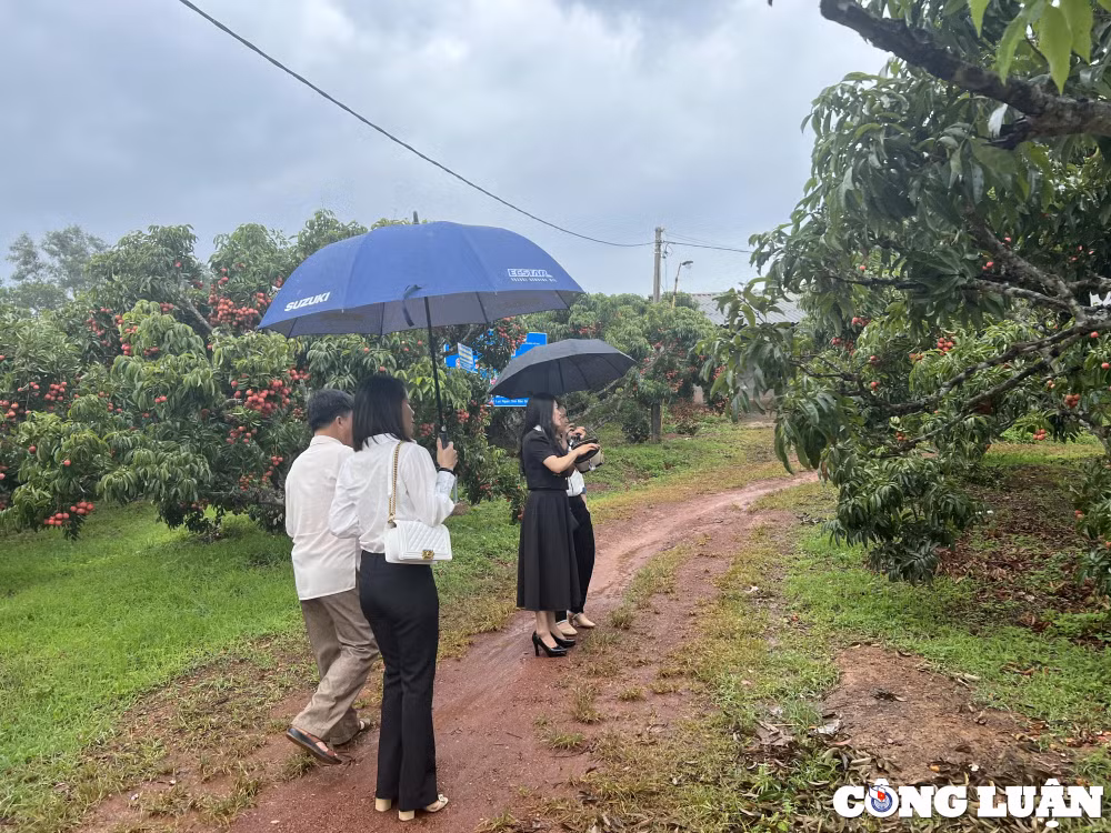 bac giang tap trung phat trien du lich nong thon hinh 2