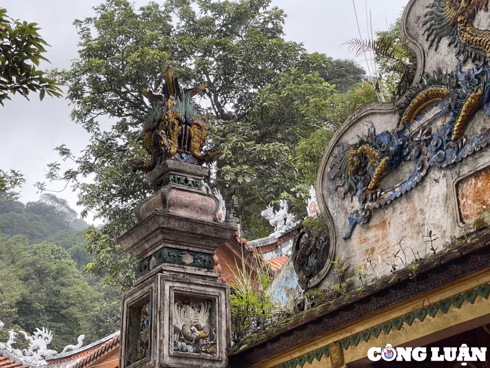 kham pha noi linh thieng giua vung troi tam dao vinh phuc hinh 6