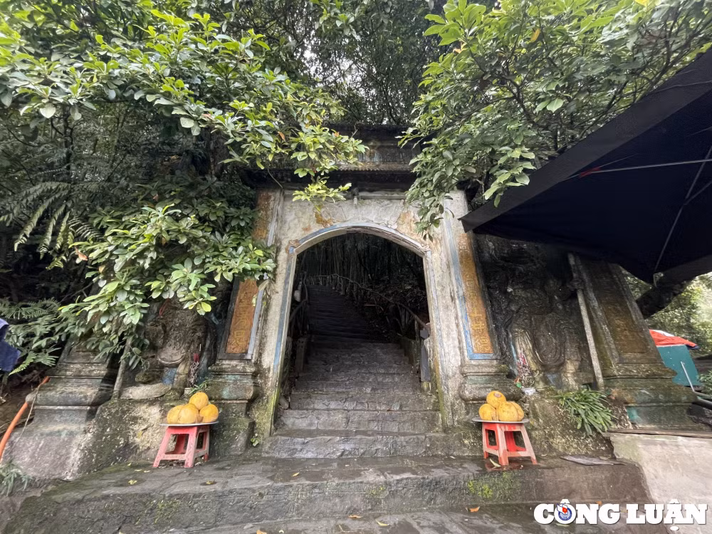 kham pha noi linh thieng giua vung troi tam dao vinh phuc hinh 1