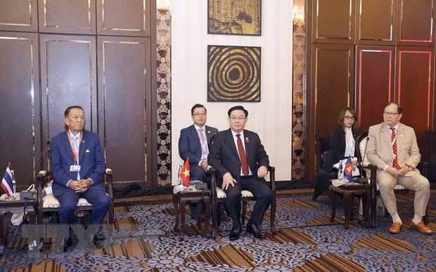 cac truong doan du aipa 44 chao xa giao chu tich ha vien indonesia hinh 1