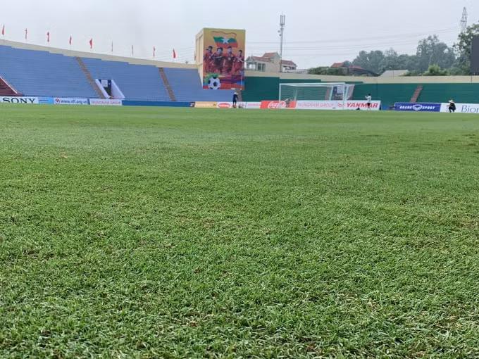 Mặt cỏ đảm bảo tiêu chuẩn cho trận đấu. Ảnh: Hoàng Dương