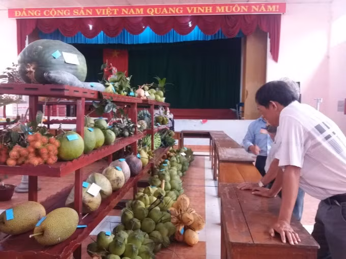 Có 100 sản phẩm trái cây của các nhà vườn tham gia. Ảnh: NT