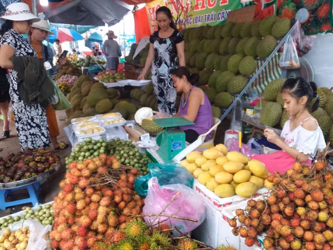 Chợ Lách cần tuyên truyền, vận động hộ dân tham gia sản xuất nông nghiệp gắn với du lịch trên cơ sở tôn trọng tính nguyên bản; trong đó nông nghiệp giữ vai trò trọng yếu.