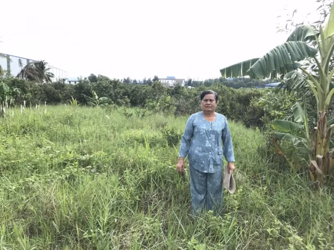 Bà Hường trên khu đất hơn 10 năm khai phá, trồng trọt ổn định.