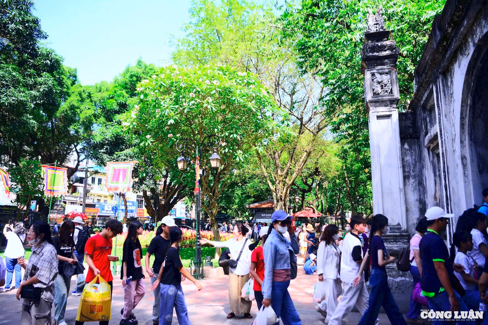 6610afa4-f774-4b6f-b8cb-77229487859f_1_201_a.jpeg