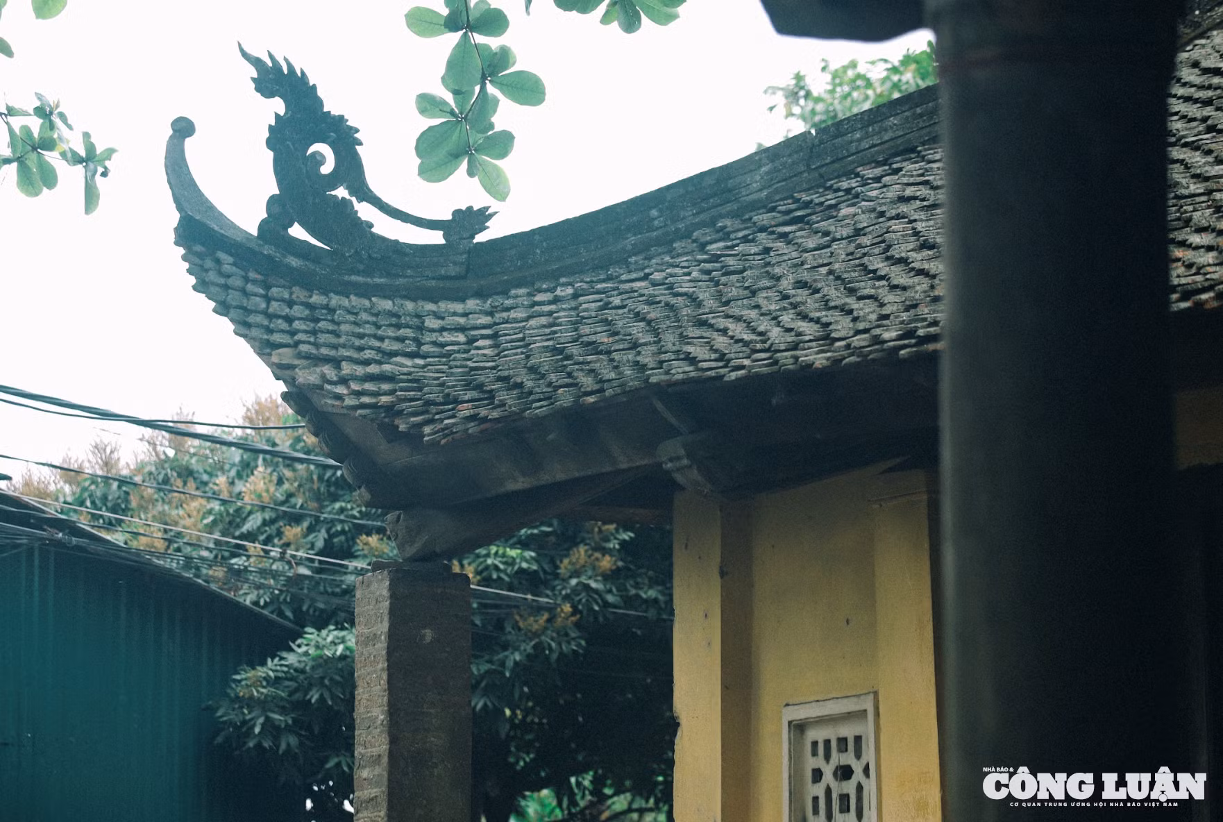 Ảnh màn hình 2025-06-05 lúc 10.52.23