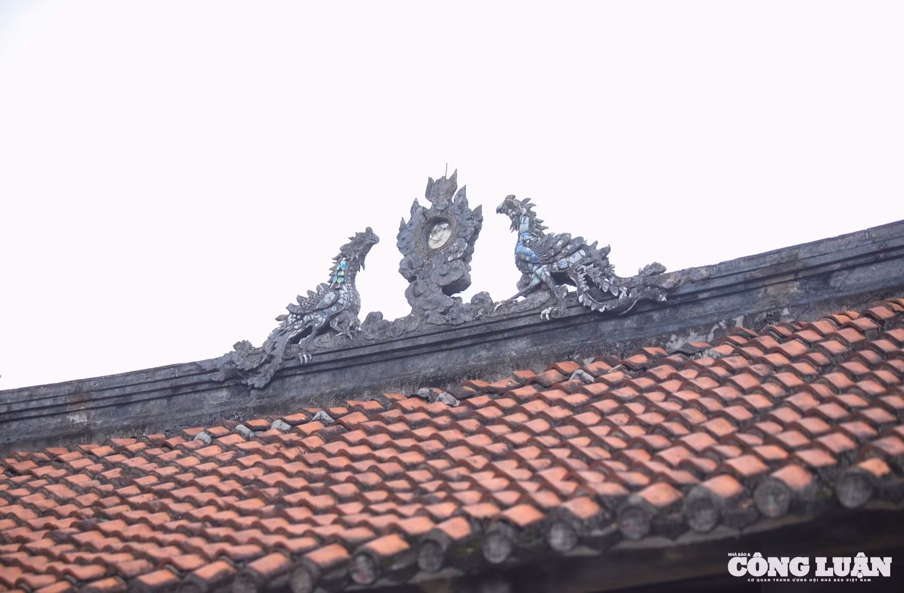 09ba7388-0ba5-4ce1-95dd-5dbf6c521aac_1_201_a.jpeg