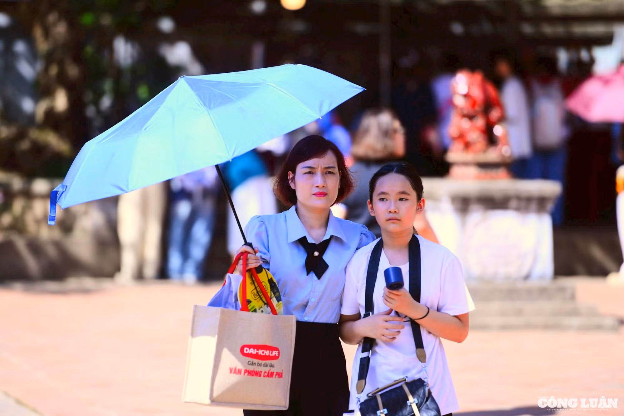 85c27b96-a53b-4468-a6e3-451d747d8607_1_201_a.jpeg