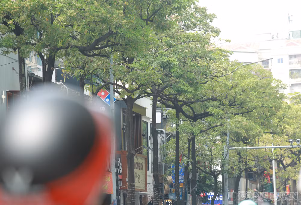 clo_br_6r4a1125.jpg