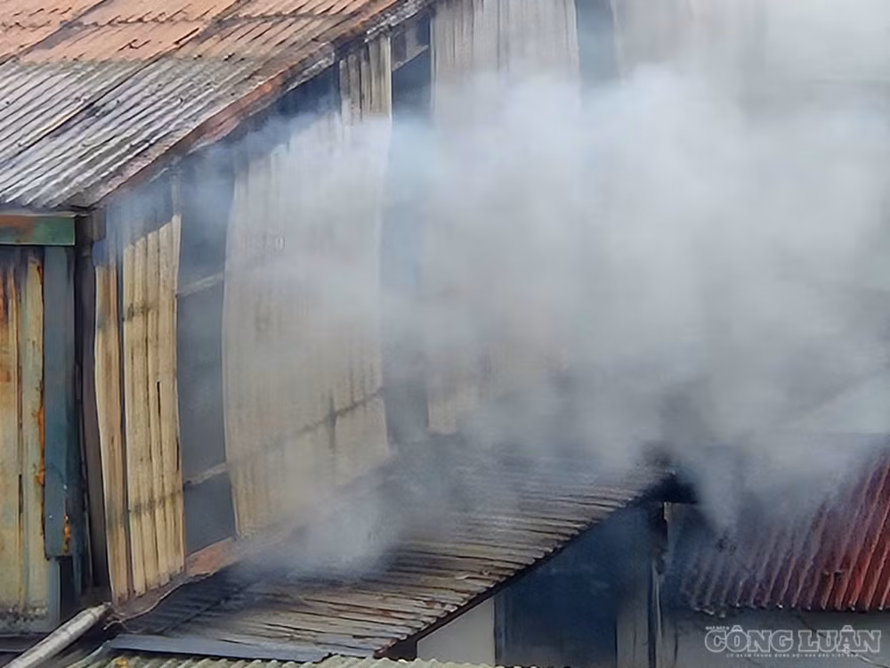 clo_br_z8169183999946-0ac4585f44867d0941f0204898b332b0.jpg
