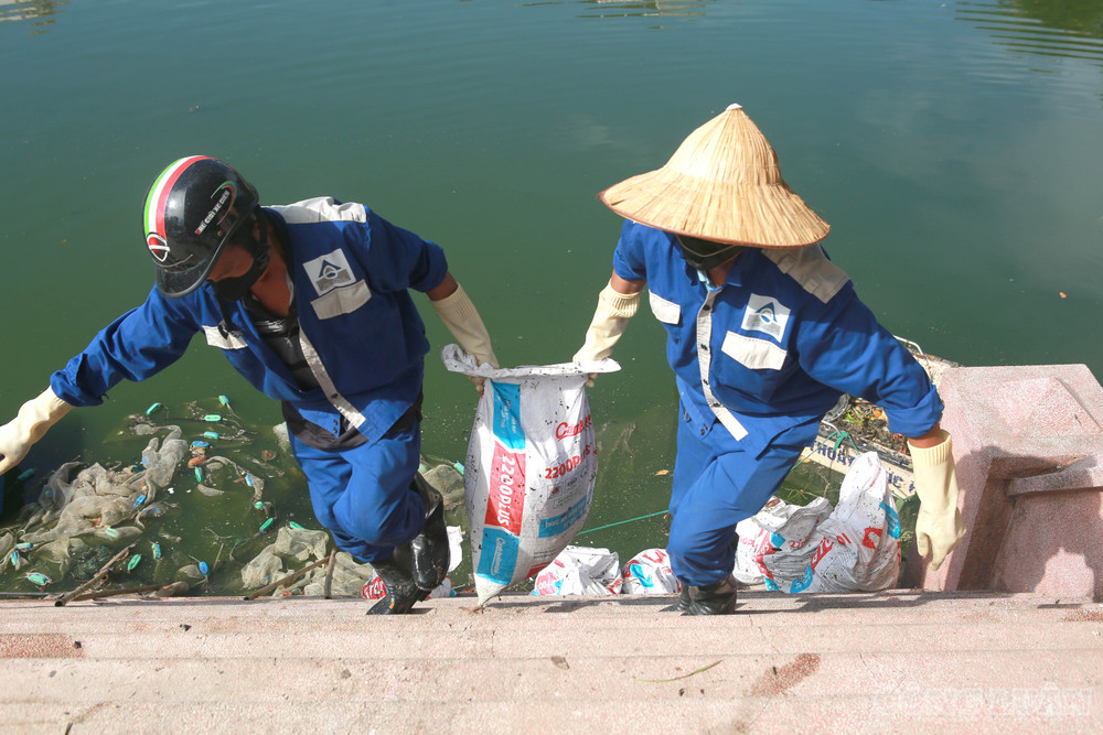 Theo ông Phúc, công nhân vệ sinh môi trường tại khu vực, tình trạng cá chết đã xuất hiện khoảng 1-2 ngày nay. Trước đó, hồ cũng từng xảy ra tình trạng cá chết và bốc mùi hôi. clo_br_6r4a4763.jpg