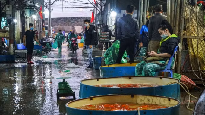 Thị trường hàng hóa phục vụ ngày Tết ông Công ông Táo hôm nay (Ngày 23 tháng Chạp) trầm lắng hẳn so với mọi năm, sức mua giảm rõ rệt