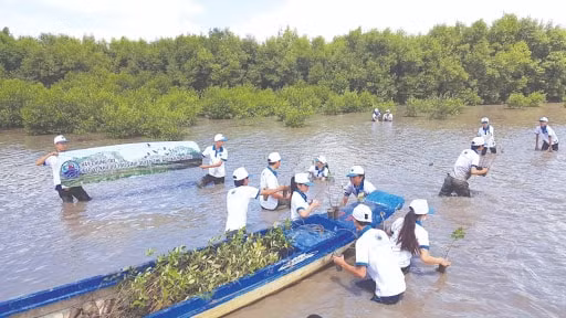 Việt Nam đã có nhiều nỗ lực trong ứng phó với biến đổi khí hậu thời gian qua.