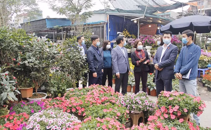 Đoàn khảo sát tại chợ hoa Xuân Vạn Phúc, quận Hà Đông
