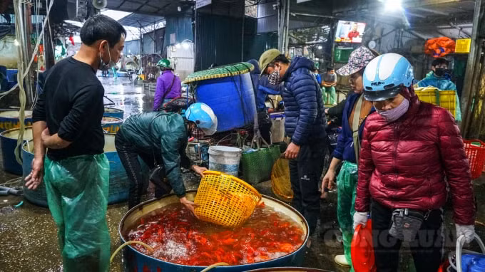 Tại chợ cá Yên Sở (làng Sở Thượng, phường Yên Sở, quận Hoàng Mai, Hà Nội) vào sáng ngày 3/2, hoạt động mua, bán đã diễn ra tấp nập.