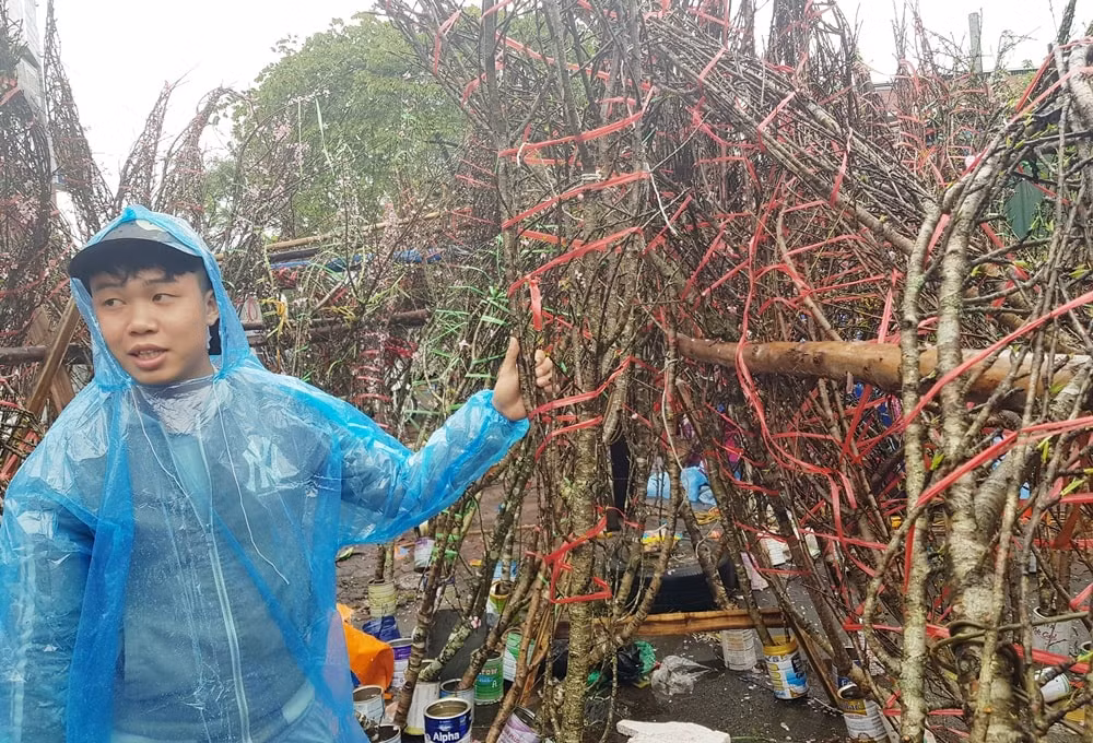 Đào rừng năm cánh, mọi năm được người dân lựa chọn, nhưng năm nay ít người mua, giá trung bình một cành đào rừng này dao động từ 500.000 - 1.000.000, nhiều người bán hàng vẫn hy vọng vào ngày 29 và 30 tết.
