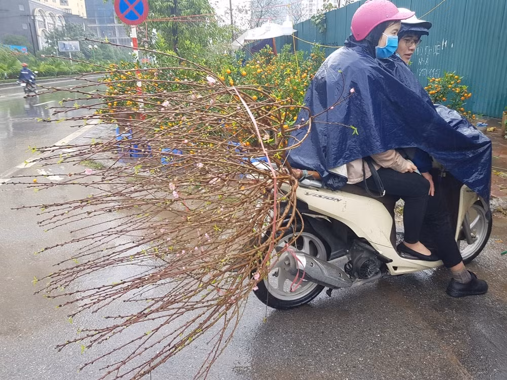 Việc xảy ra dịch bệnh Covid 19 và trời mưa khiến nhiều người ngại xuống đường, ra chợ lựa chọn các cây cảnh như mọi năm.