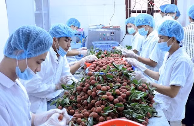 Một trong những mục tiêu của Đề án nhằm định vị và phát triển thương sản phẩm nông lâm thủy sản của Việt Nam trên thị trường quốc tế
