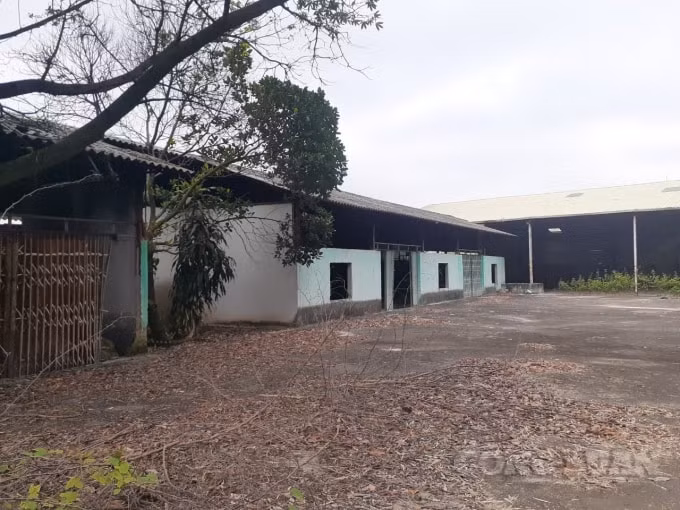 Thửa đất số 89, tờ bản đồ số 19 xã Xương Lâm của gia đình ông Hòa, bà Hoa đã bị làm giả hồ sơ để cấp chồng lên 1 cuốn sổ đỏ khác.