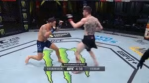 Võ sĩ hạ knock-out đối thủ bằng đòn đầu gối bay. Ảnh: internet
