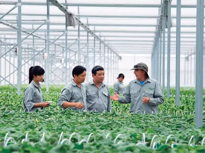 Đến 2025, lựa chọn tối thiểu 300 hợp tác xã tham gia mô hình hợp tác xã kiểu mới hiệu quả.