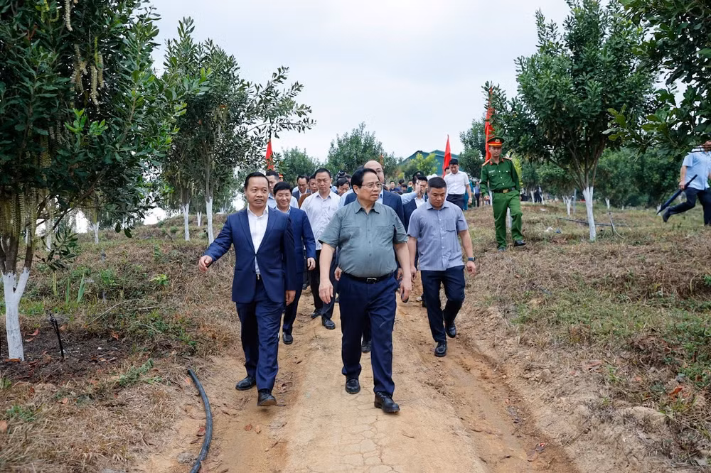 Thủ tướng Phạm Minh Chính: Cần biến núi rừng Tây Bắc trùng điệp thành của cải vật chất- Ảnh 1.