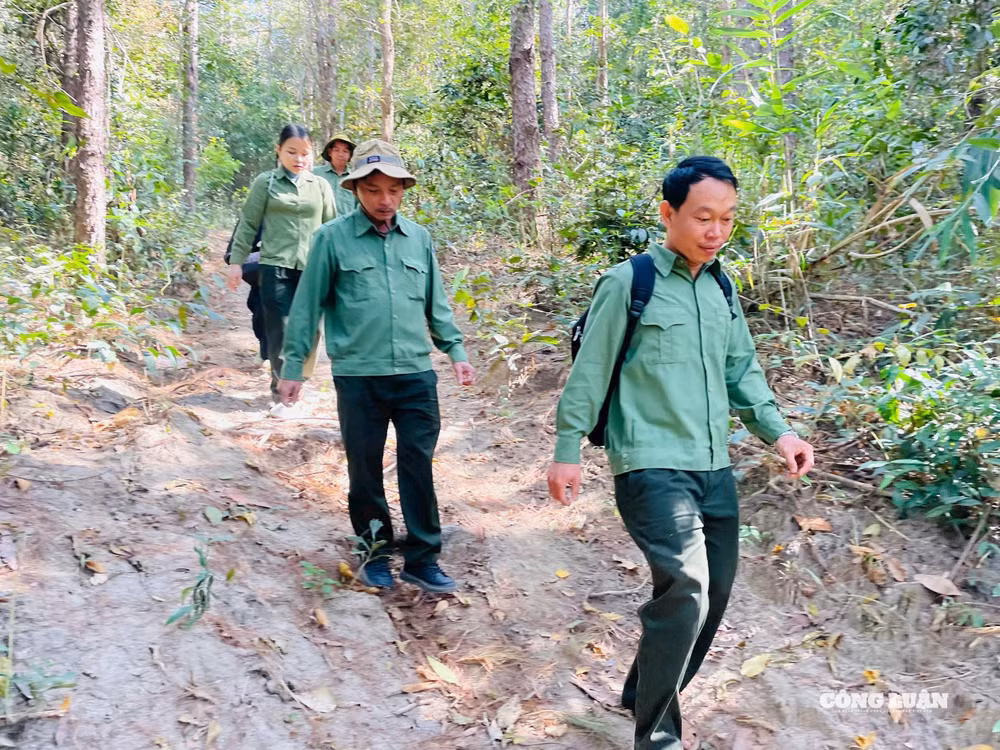 Trước những khó khăn, nguy hiểm, cơ quan chức năng đã có nhiều đề xuất để hỗ trợ chế độ, chính sách cho lực lượng bảo vệ rừng