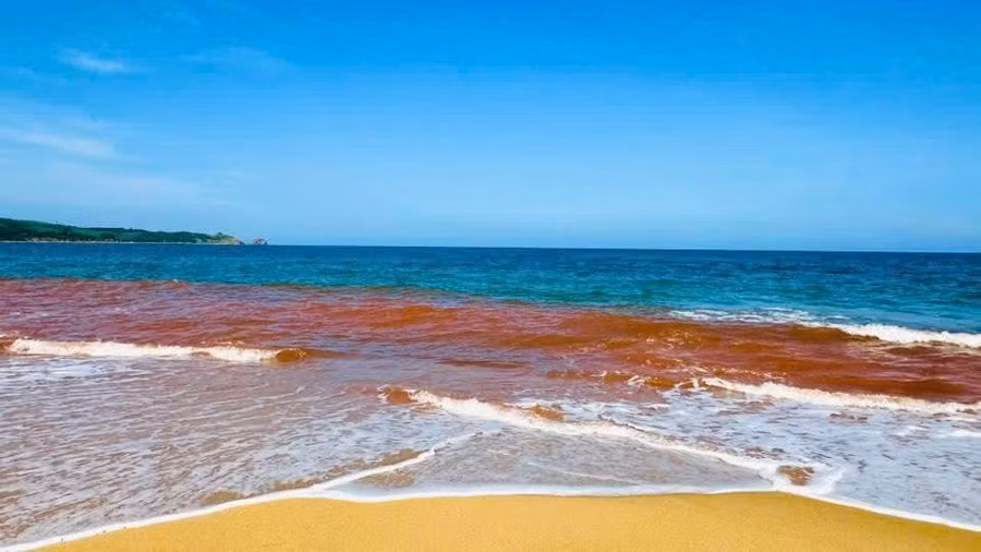 nuoc-bien-ven-bo-tai-khu-pho-thien-chanh-co-mau-nau-do.jpg
