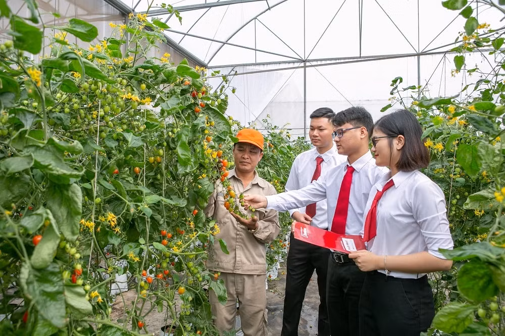 agribank-tay-ninh.jpg