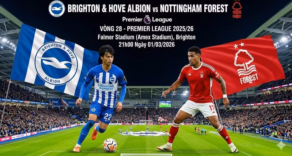 Brighton vs Nottingham