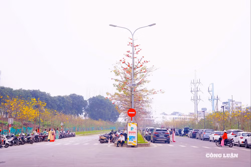 Ảnh 3